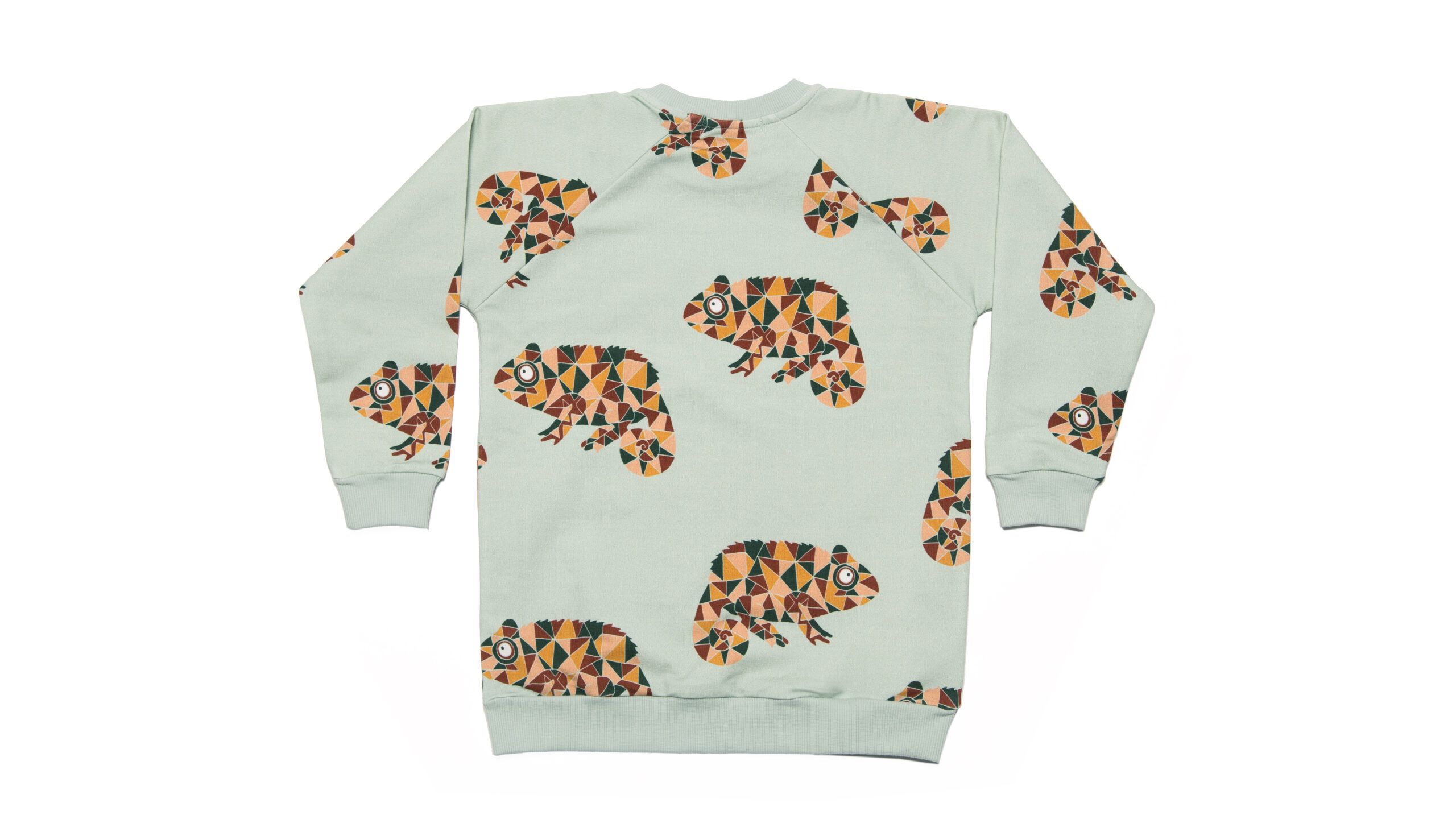 Kids sweater with chameleons